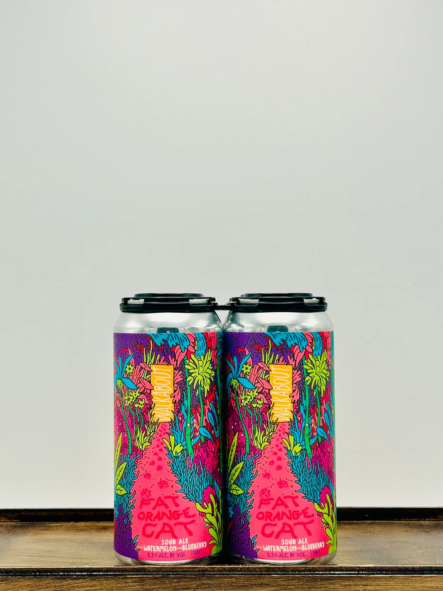 Fat Orange Cat Brewing 'Walkabout' Watermelon Blueberry Sour Ale